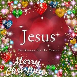 Meet your Posher, Bessie